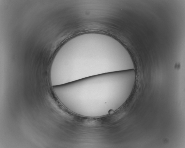 X0000111180454200907011036