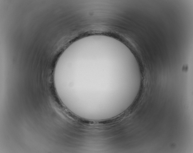 X0000111180455200907011036