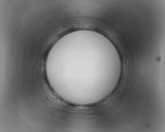 X0000111180457200907011036