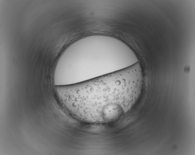 X0000111180458200907011036