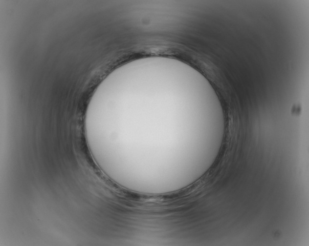 X0000111180461200907011036