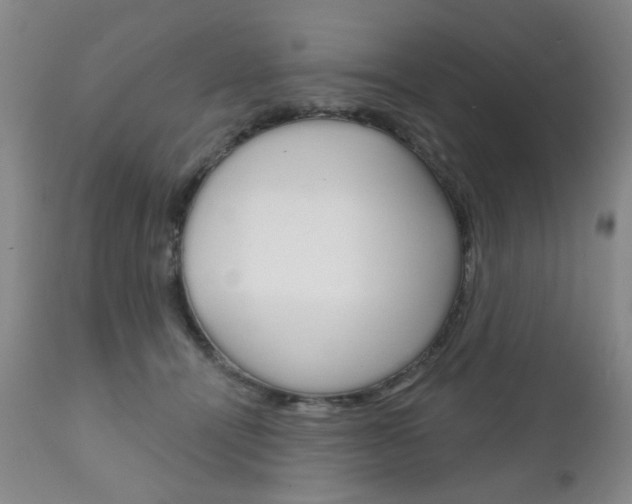 X0000111180464200907011036