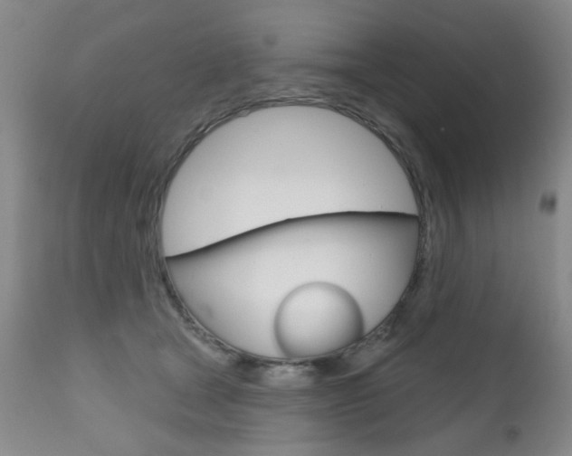 X0000111180465200907011036