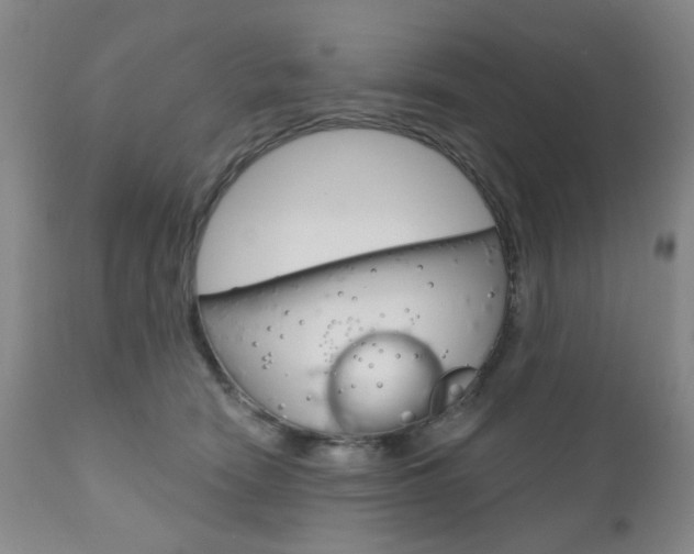 X0000111180466200907011036