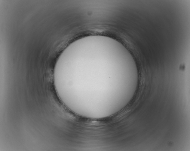 X0000111180467200907011036