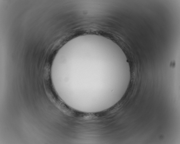 X0000111180468200907011036