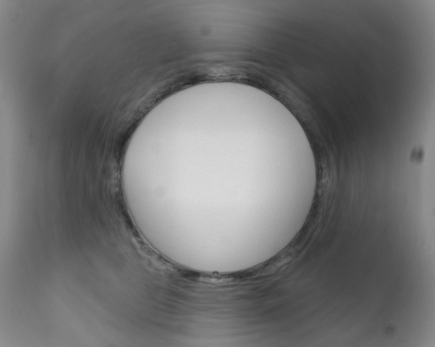 X0000111180469200907011036