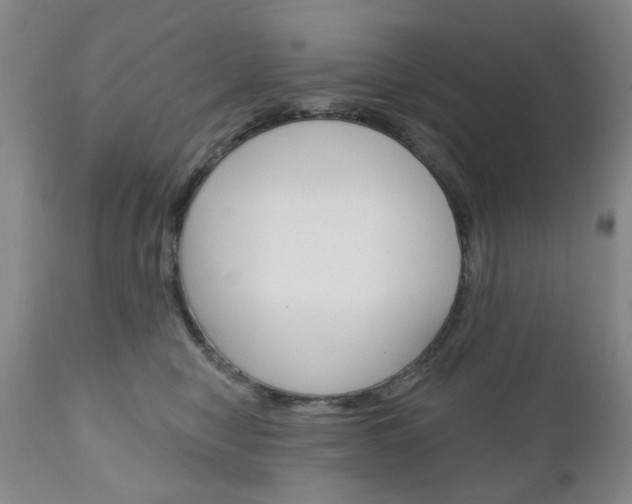 X0000111180470200907011036