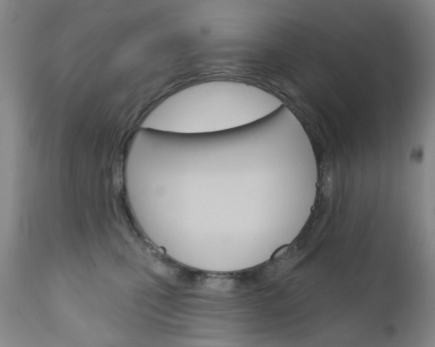 X0000111180471200907011036