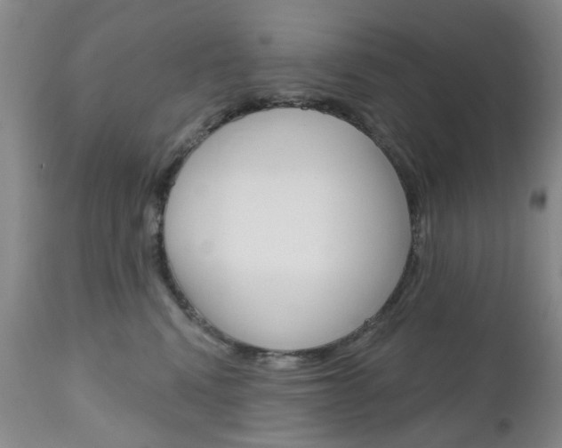 X0000111180472200907011036