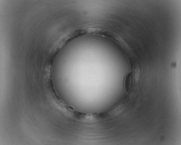 X0000111180475200907011036
