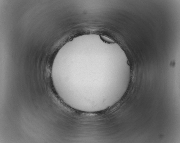 X0000111180476200907011036