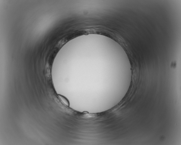 X0000111180477200907011036