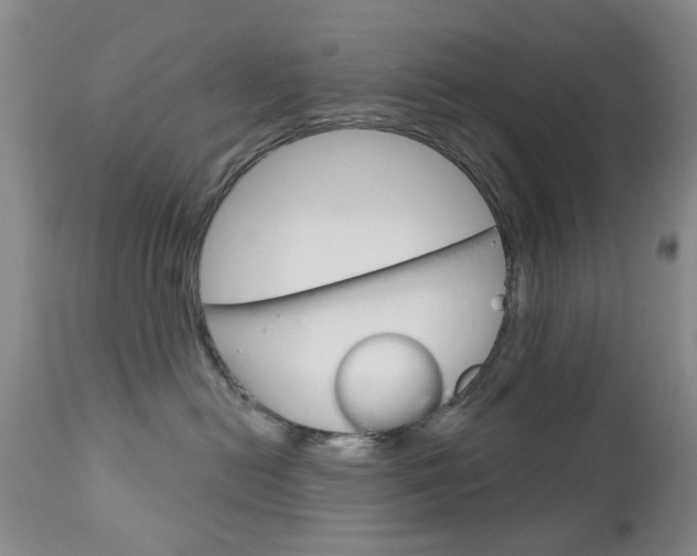 X0000111180478200907011036
