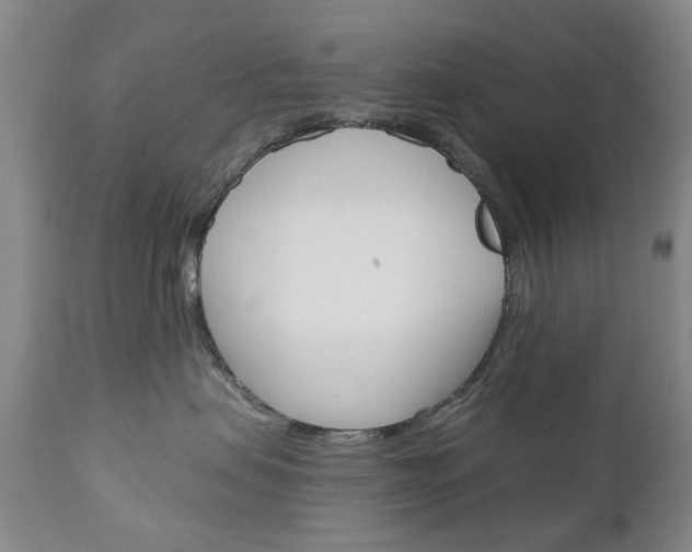 X0000111180479200907011036