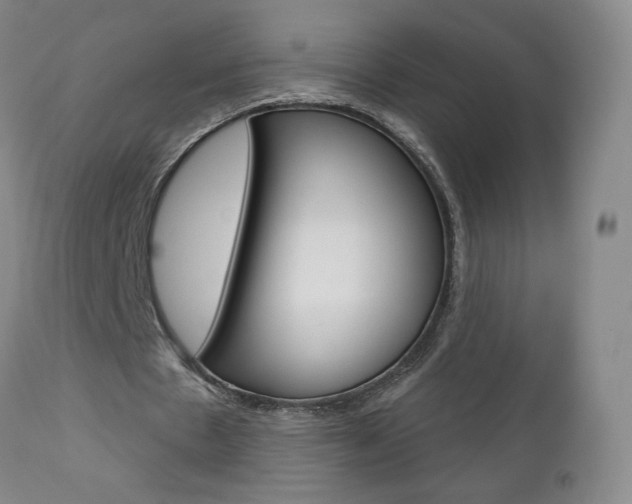X0000111180481200907011035