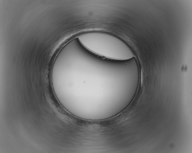 X0000111180483200907011035