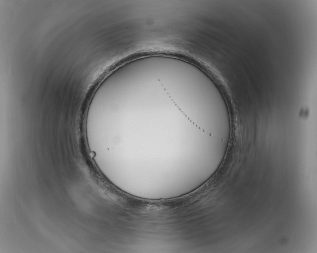 X0000111180487200907011035