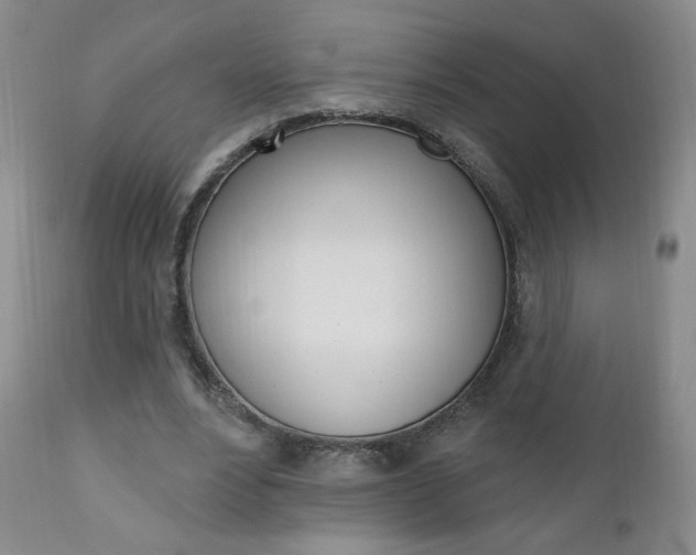X0000111180488200907011035
