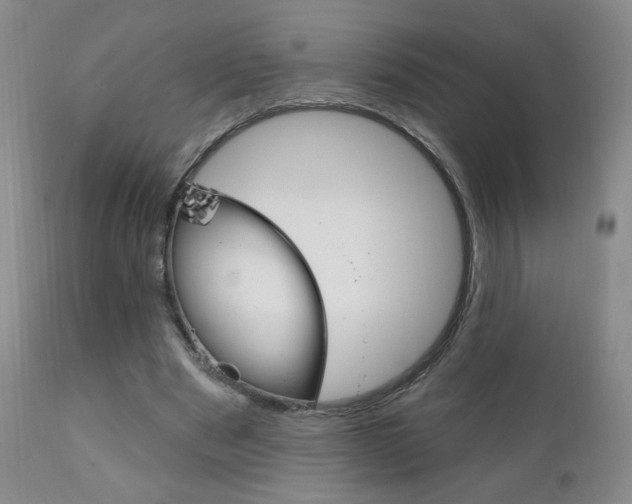 X0000111180489200907011035
