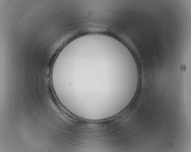X0000111180490200907011035