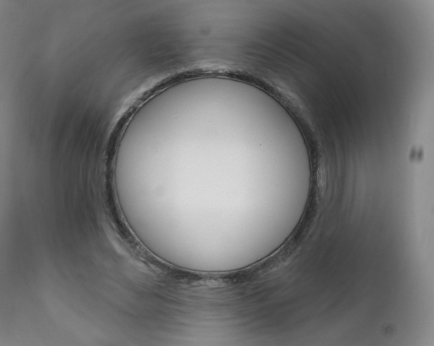 X0000111180492200907011035