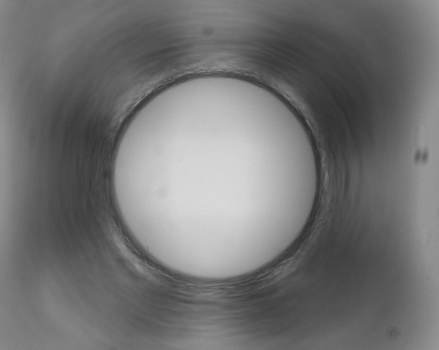 X0000111180493200907011035