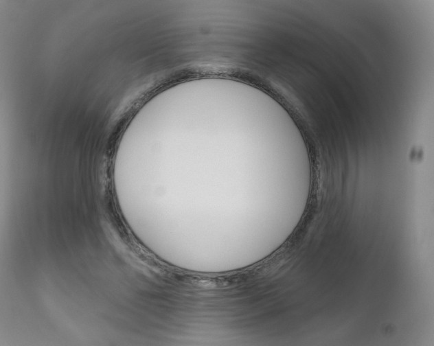 X0000111180494200907011035