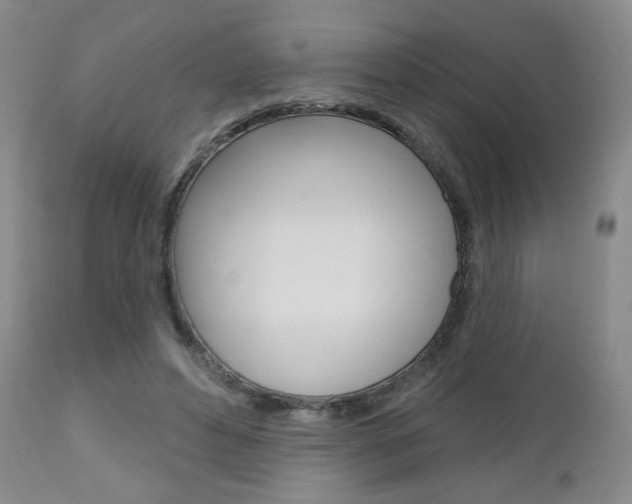 X0000111180496200907011035