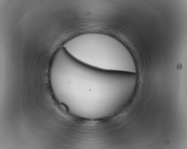 X0000111180497200907011035