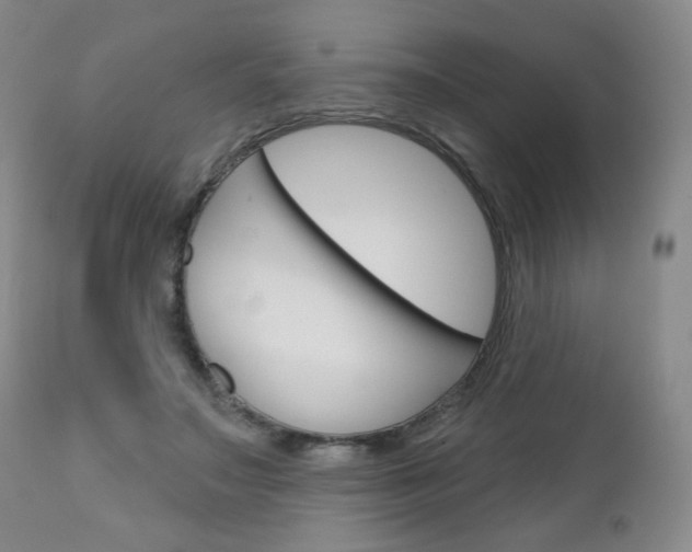 X0000111180499200907011035