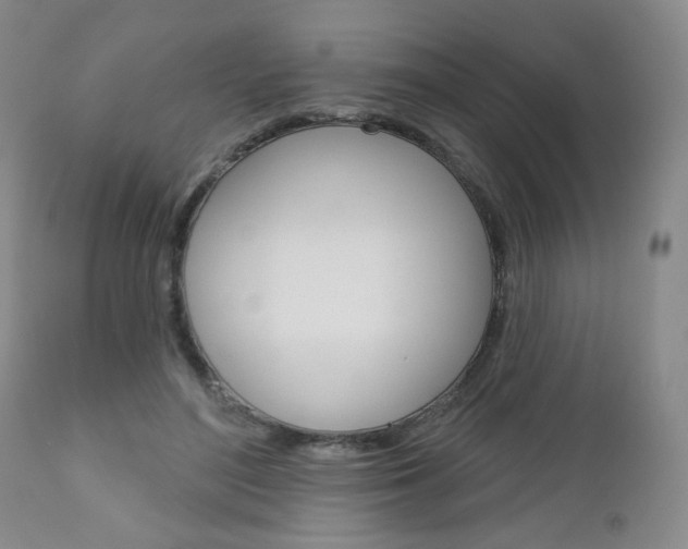 X0000111180500200907011035