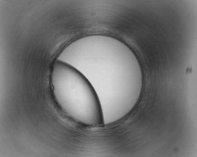 X0000111180501200907011035