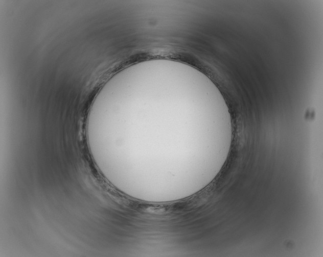 X0000111180502200907011035