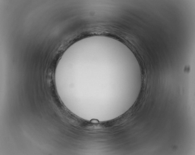X0000111180503200907011035
