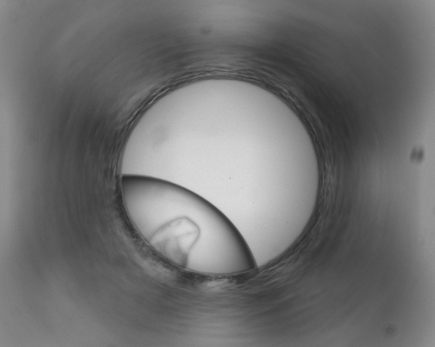 X0000111180505200907011035