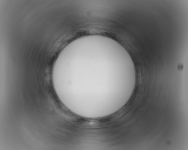 X0000111180506200907011035
