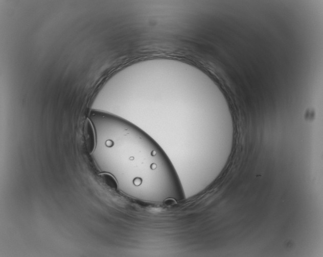X0000111180509200907011035