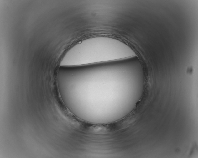 X0000111180512200907011035