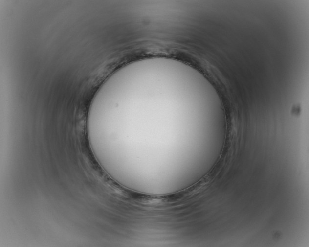 X0000111180513200907011035