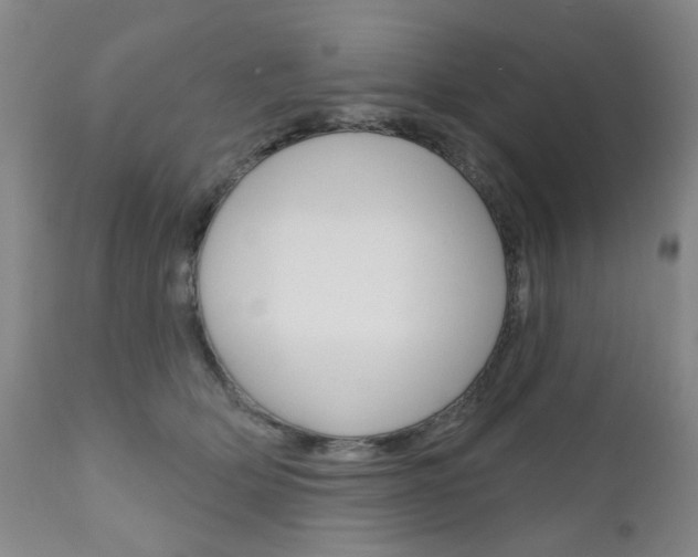 X0000111180514200907011035