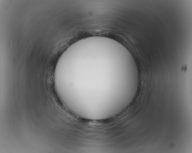 X0000111180515200907011035