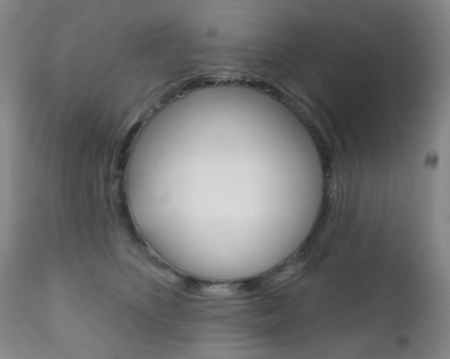 X0000111180516200907011035