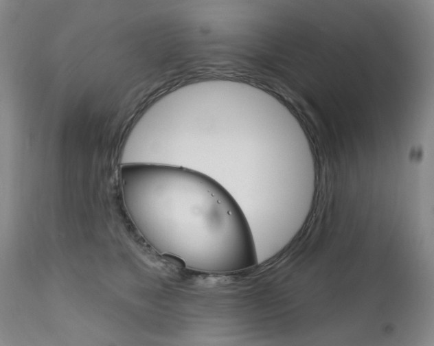 X0000111180517200907011035