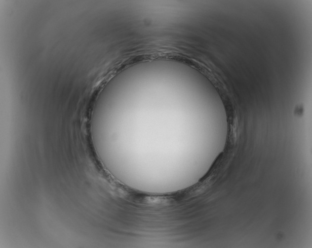 X0000111180520200907011035