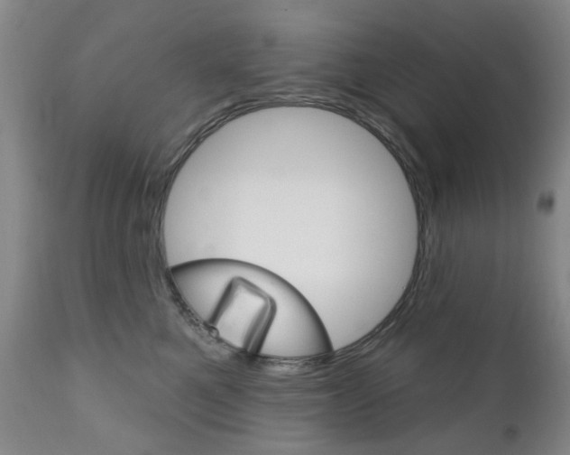 X0000111180521200907011035