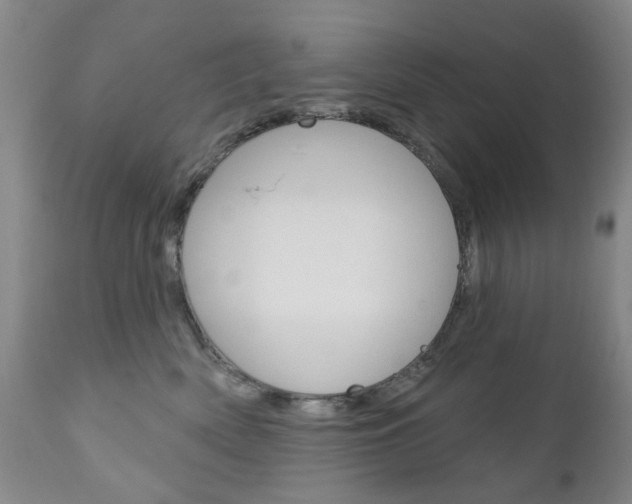 X0000111180522200907011035