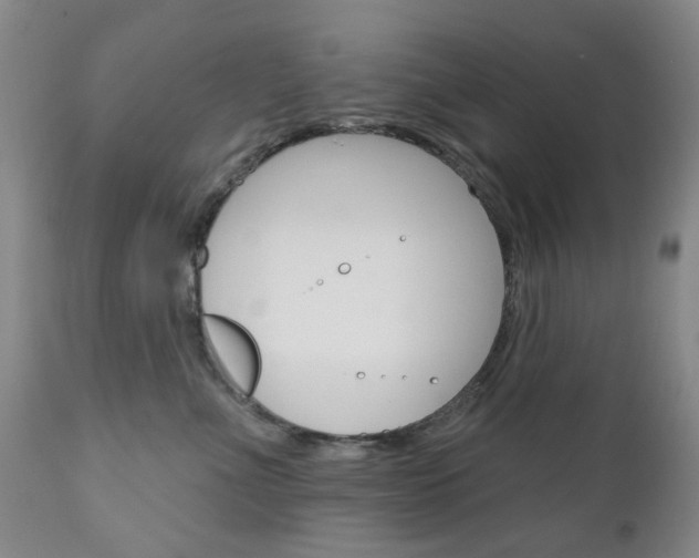 X0000111180523200907011035
