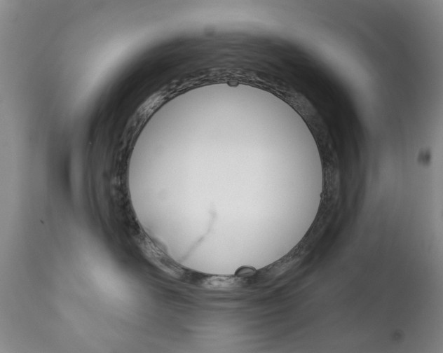 X0000111180526200907011035