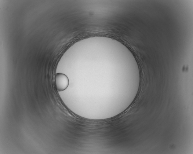 X0000111180528200907011035